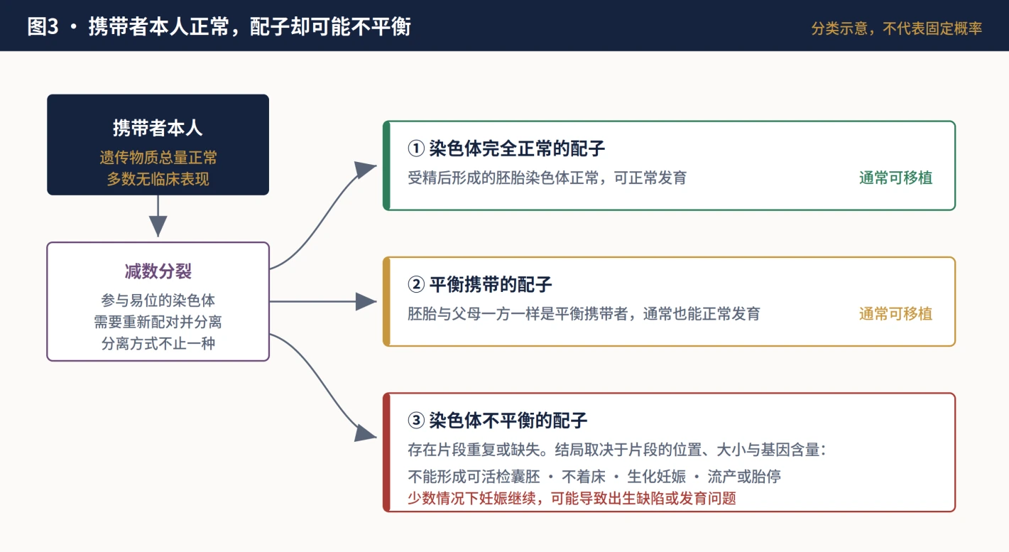 平衡易位携带者可能形成的三类配子