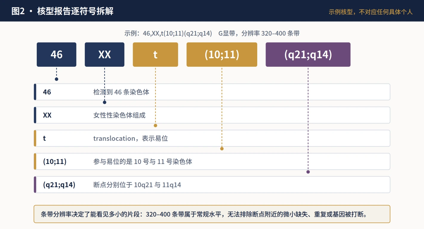 平衡易位核型报告符号拆解
