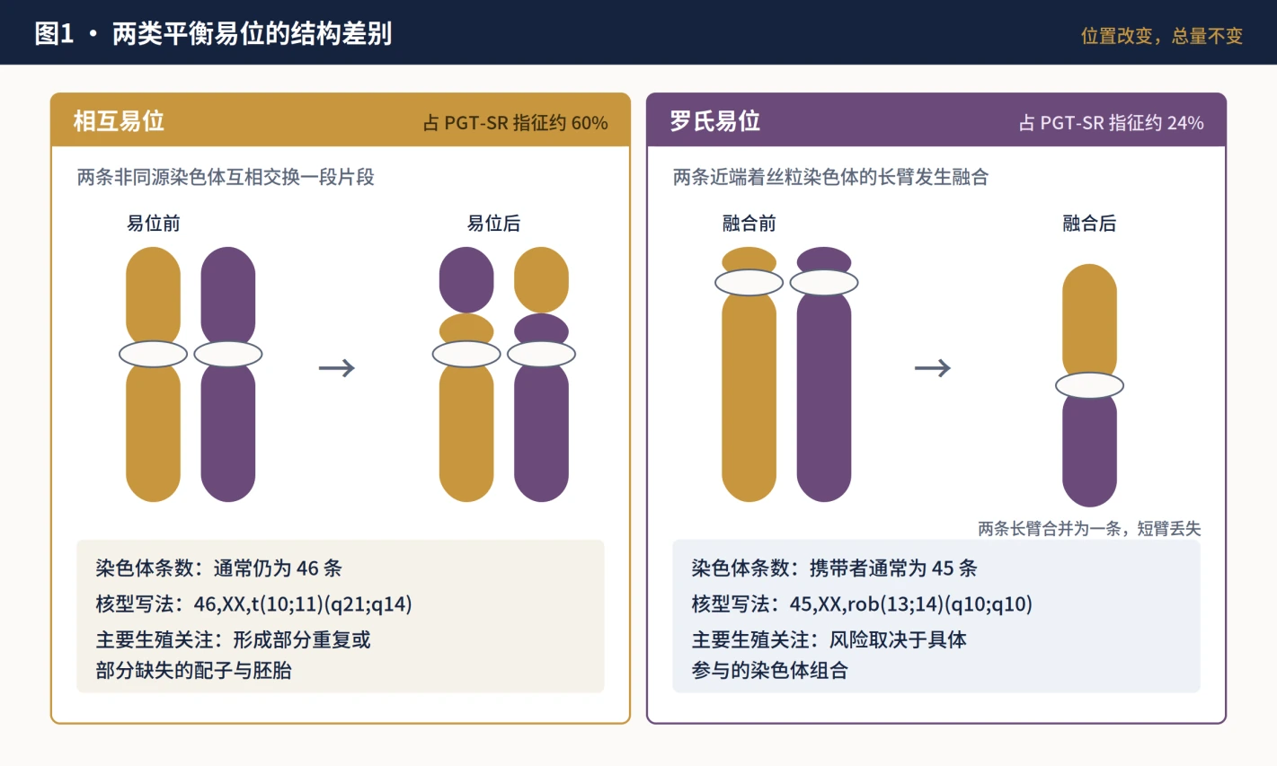 相互易位与罗氏易位的结构差别