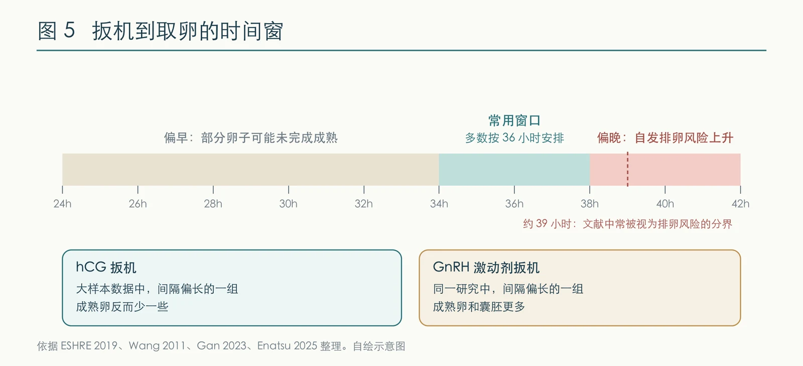 扳机与取卵的小时窗口