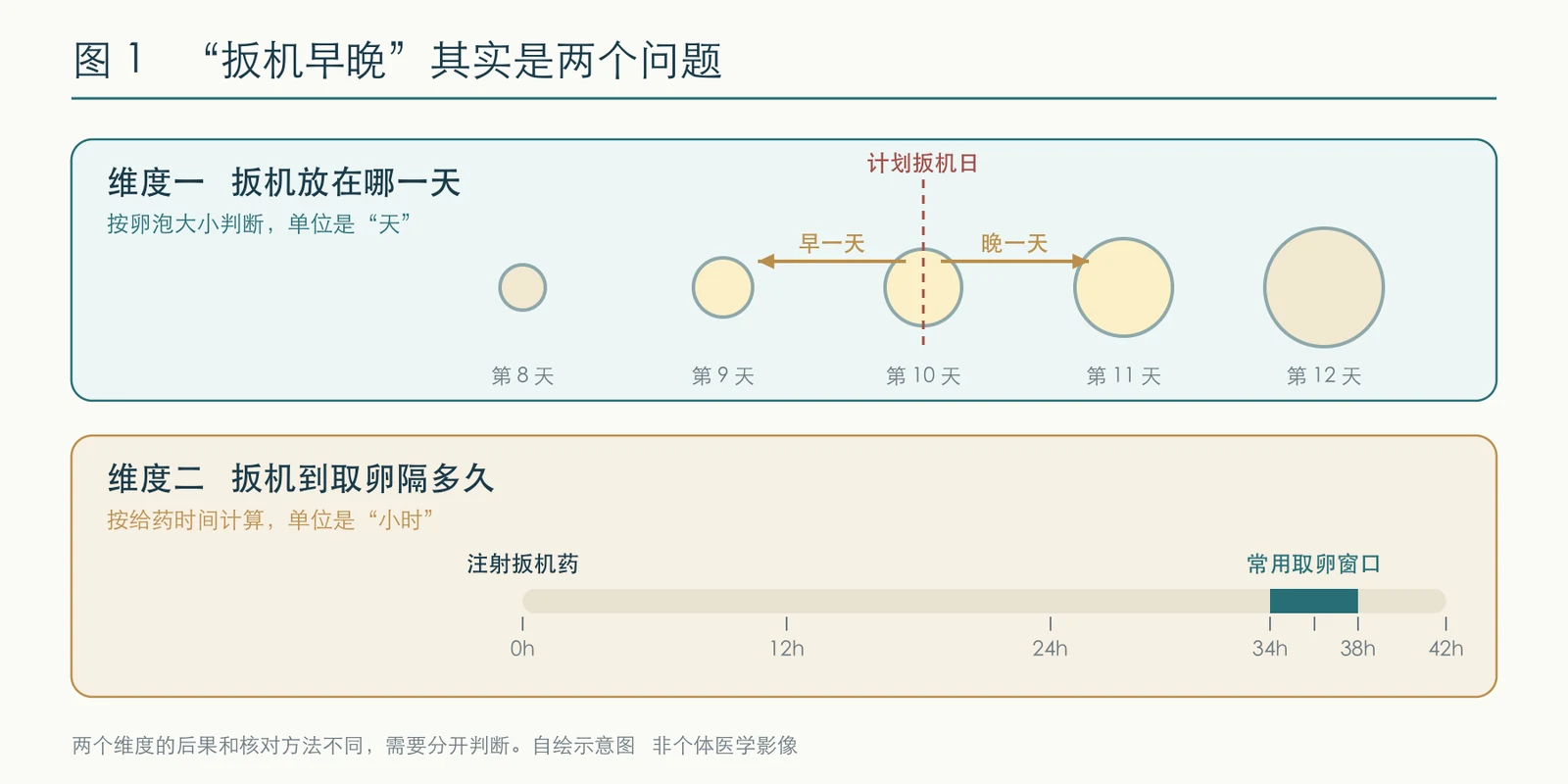 扳机日与取卵间隔