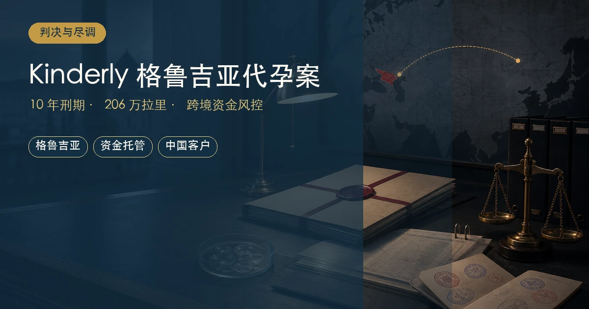 格鲁吉亚 Kinderly 代孕案判决：10 年刑期背后的跨境生育资金风险
