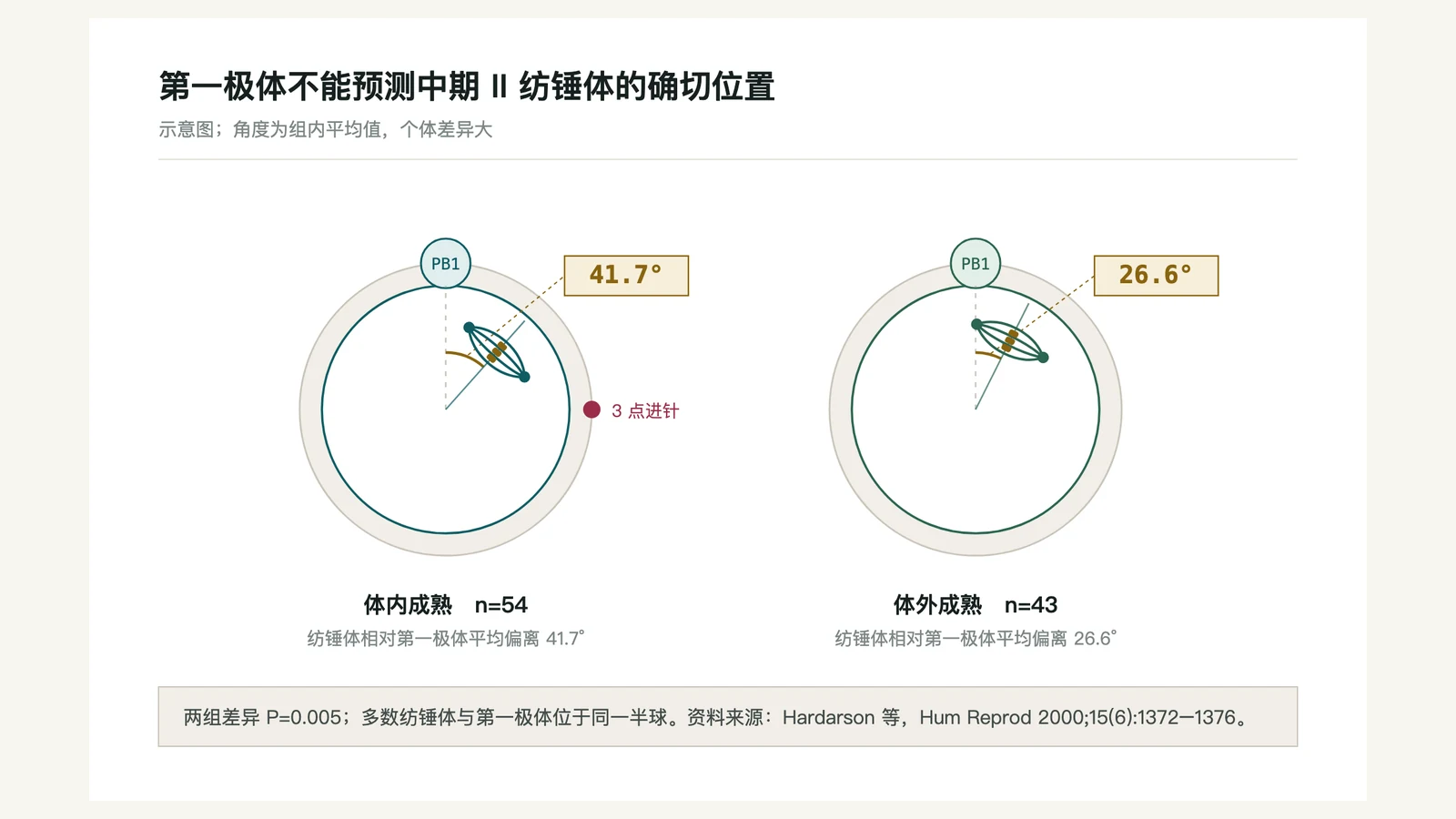 第一极体与纺锤体的空间位置