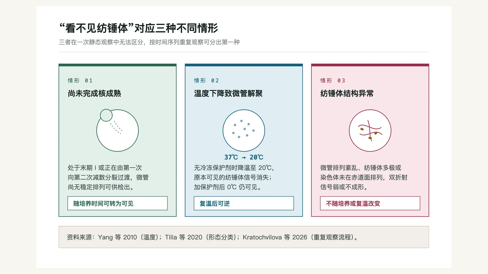 纺锤体未显影的三种可能