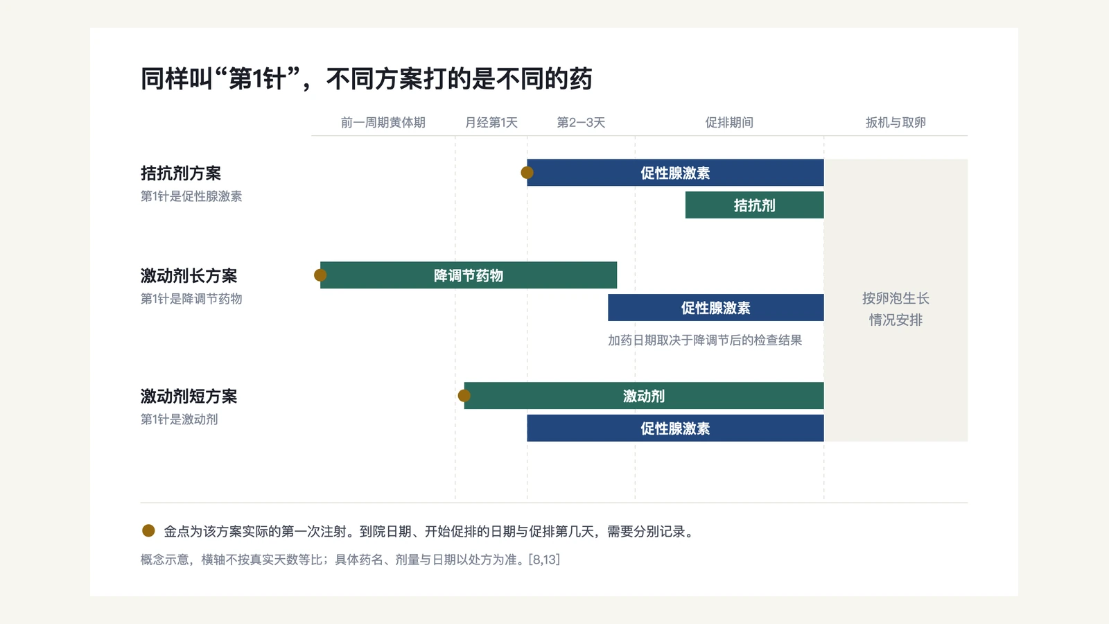 拮抗剂、激动剂和激动剂短方案的用药时间轴