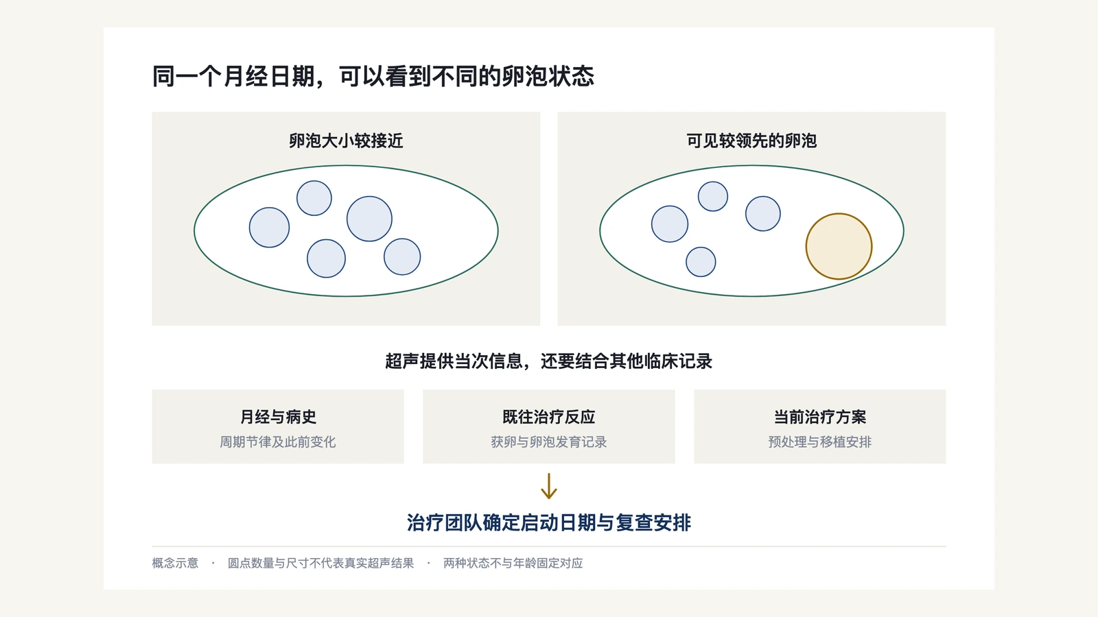 同一周期日可见均匀卵泡队列或一个偏大卵泡