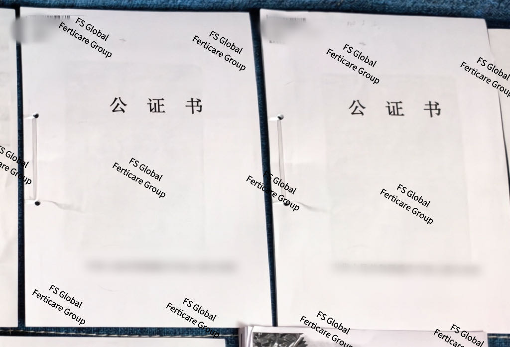 资料中的公证书。