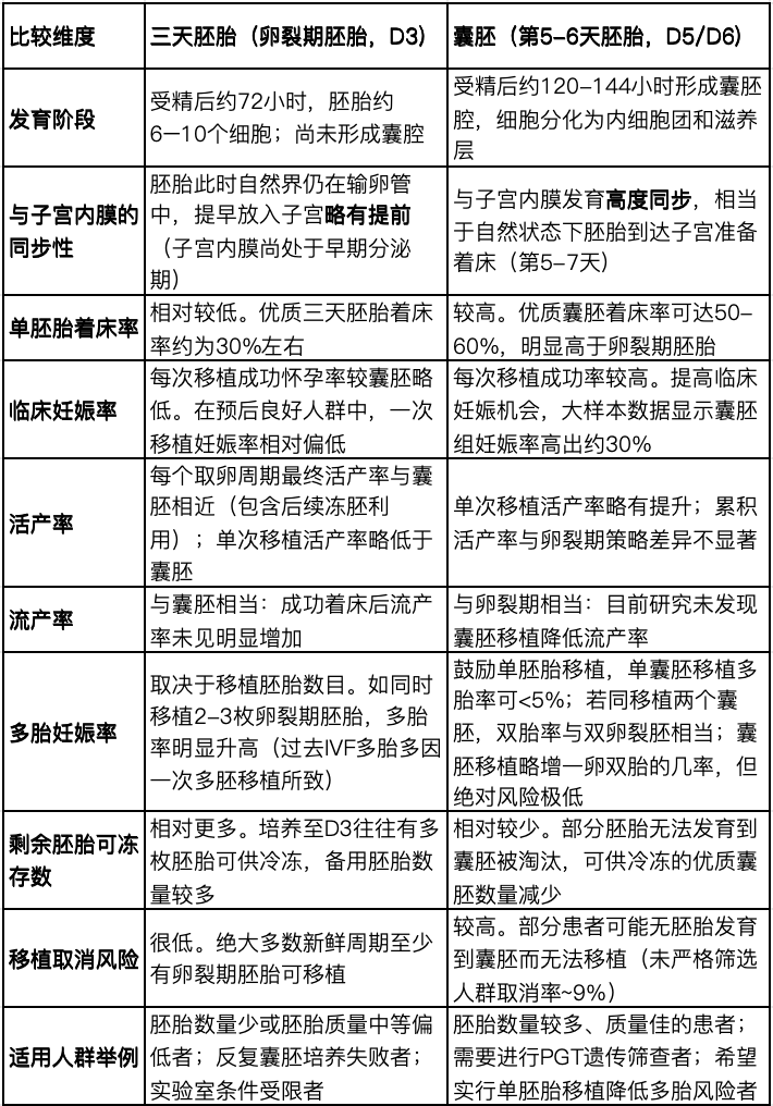 体外胚胎培养与体内发育潜能的差异:三天胚与囊胚移植选择的科学依据